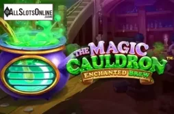 The Magic Cauldron