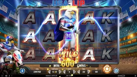 USA Flip slot screenshot 3