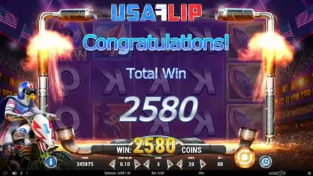 USA Flip slot screenshot 7