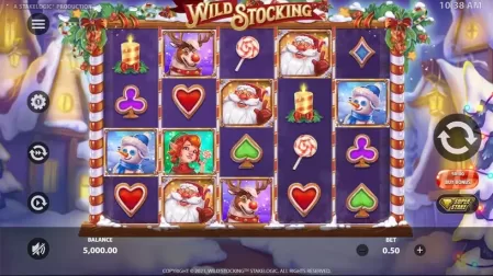 Wild Stocking slot screenshot 1