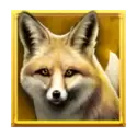 icon 4