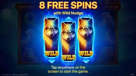 Wolf Power: Hold and Win slot screenshot 7