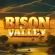 Bison Valley