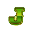 icon 9