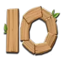 icon 11