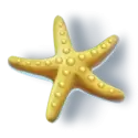 icon 9