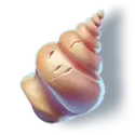 icon 6