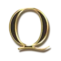 icon 7