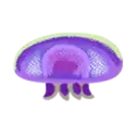icon 6