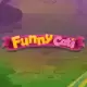 Funny Cats