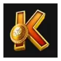icon 9