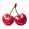 icon 9