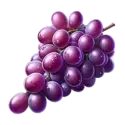 icon 4
