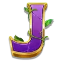 icon 12