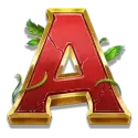 icon 9