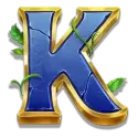 icon 10