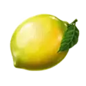icon 10