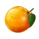 icon 9