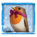 icon 3