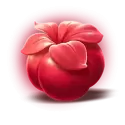 icon 2