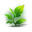 icon 6