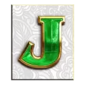 icon 8
