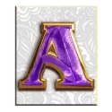 icon 5