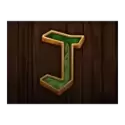 icon 11