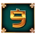 icon 9