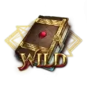icon 10