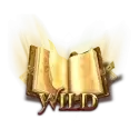 icon 11