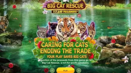 Big Cat Rescue MegaWays slot screenshot 1