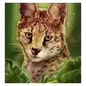 icon 4