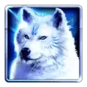 icon 1
