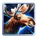 icon 3