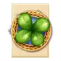 icon 2