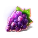 icon 6