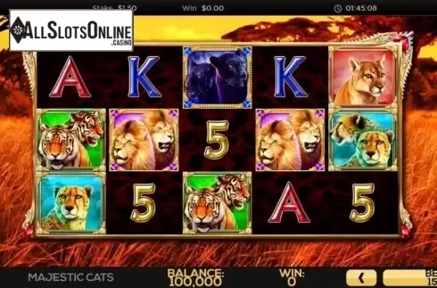 Reel Screen. Majestic Cats from High 5 Games