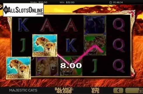 Win Screen 1. Majestic Cats from High 5 Games