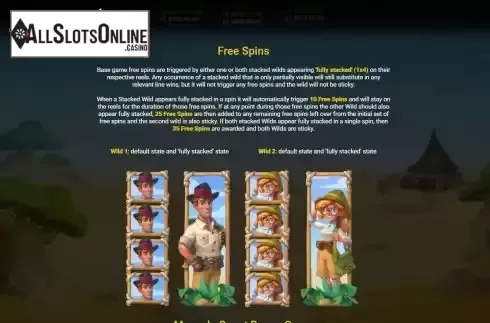 Free Spins Feature screen