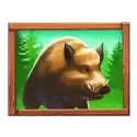 icon 4