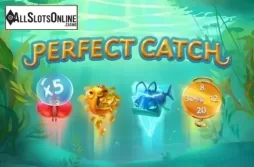 Perfect Catch