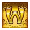 icon 1
