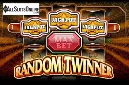 Random Twinner