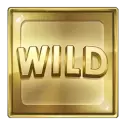 icon 4
