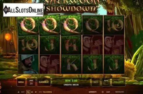 Win Screen 3. Sherwood Showdown from Greentube