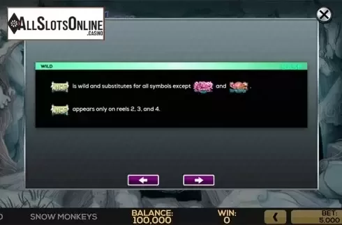 Paytable 2. Snow Monkeys from High 5 Games