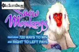 Snow Monkeys