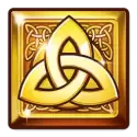 icon 13