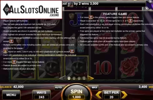 Features. Wild Gypsy from Spin Games